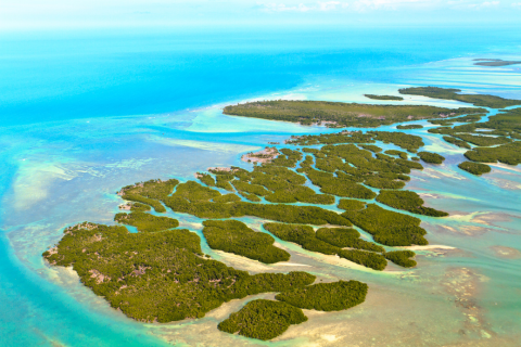 Aerial view of Florida Keys